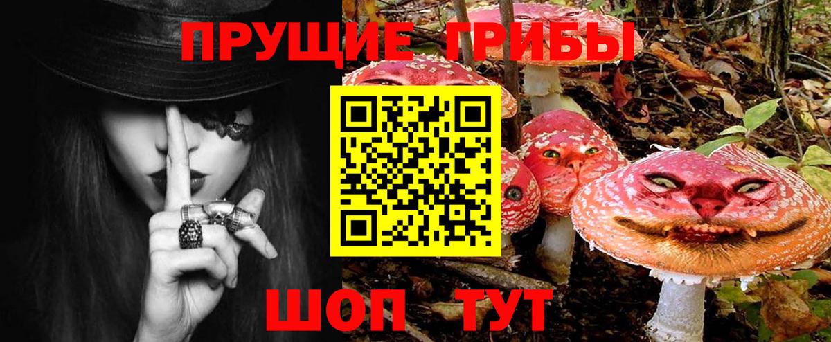 Удомля  Галлюциногенные грибы Cubensis  Галлюциногенные грибы мицелий  Вход с VPN 