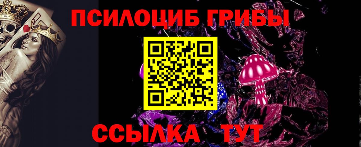 Псилоцибиновые грибы Psilocybe Удомля
